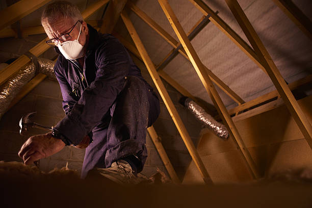Insulation Contractors for Homes in Lincoln Park, NY